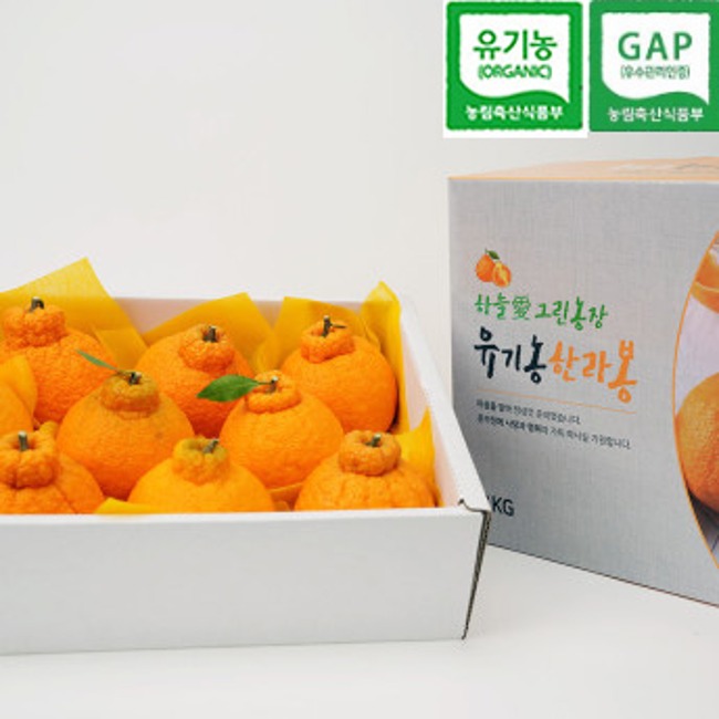 유기농 한라봉 명절선물 제철 한라봉 선물세트 3kg(8과~12과)
