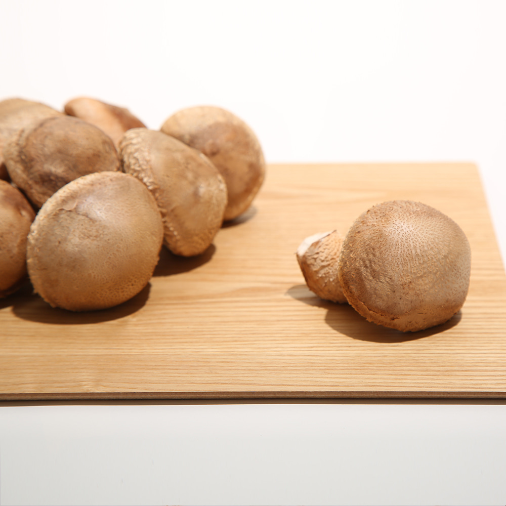 [참마루팜] 生송화버섯 1kg