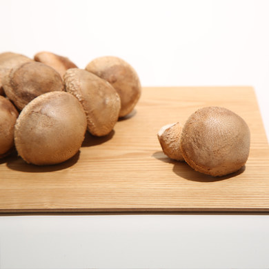 [참마루팜] 生송화버섯 1kg 일반형(500gｘ2팩)   (단품구독1회만해도10%할인) 