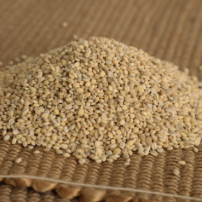 [한결] 고창 찰보리쌀 (2023년 수확)